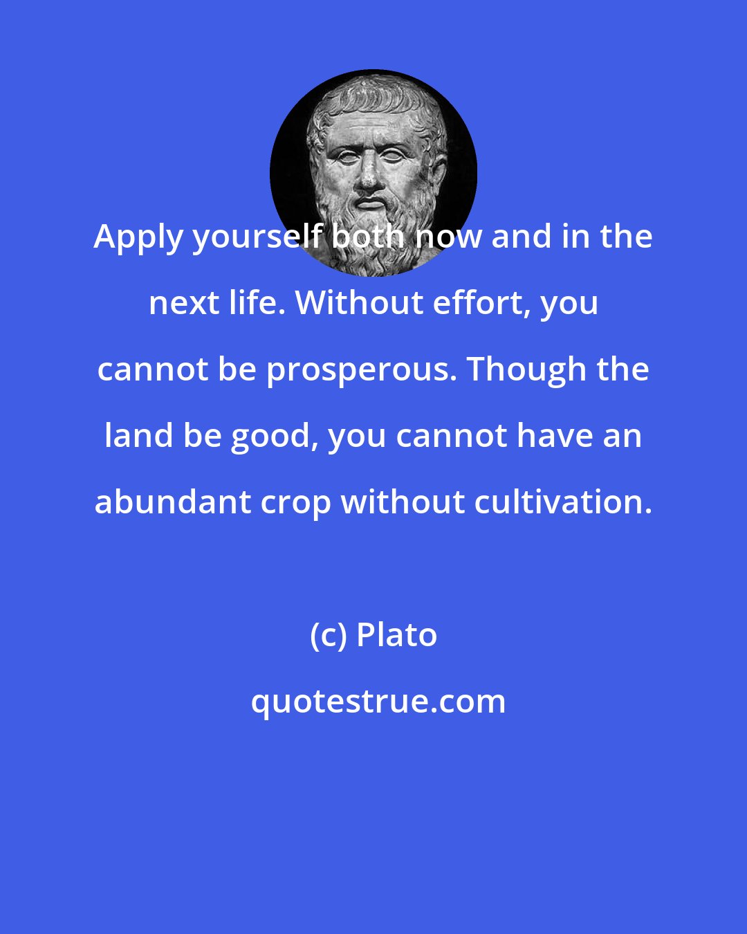 Plato: Apply yourself both now and in the next life. Without effort, you cannot be prosperous. Though the land be good, you cannot have an abundant crop without cultivation.