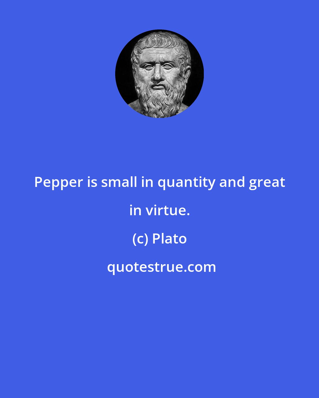 Plato: Pepper is small in quantity and great in virtue.