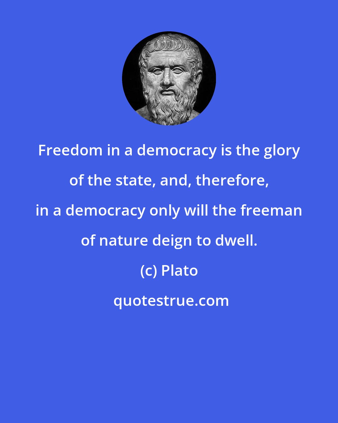 Plato: Freedom in a democracy is the glory of the state, and, therefore, in a democracy only will the freeman of nature deign to dwell.