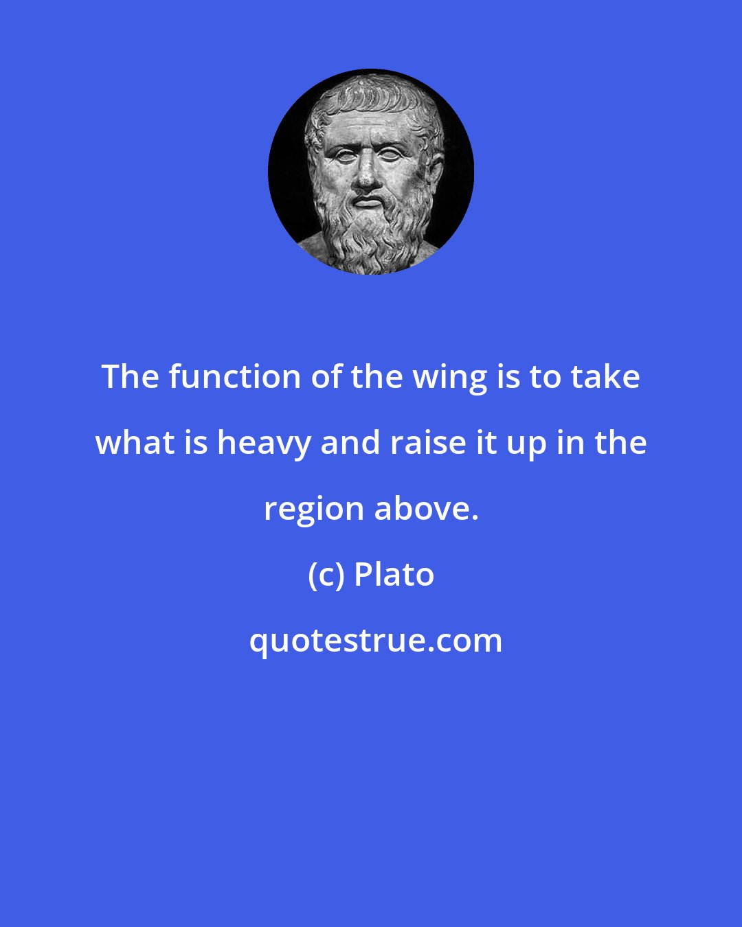 Plato: The function of the wing is to take what is heavy and raise it up in the region above.