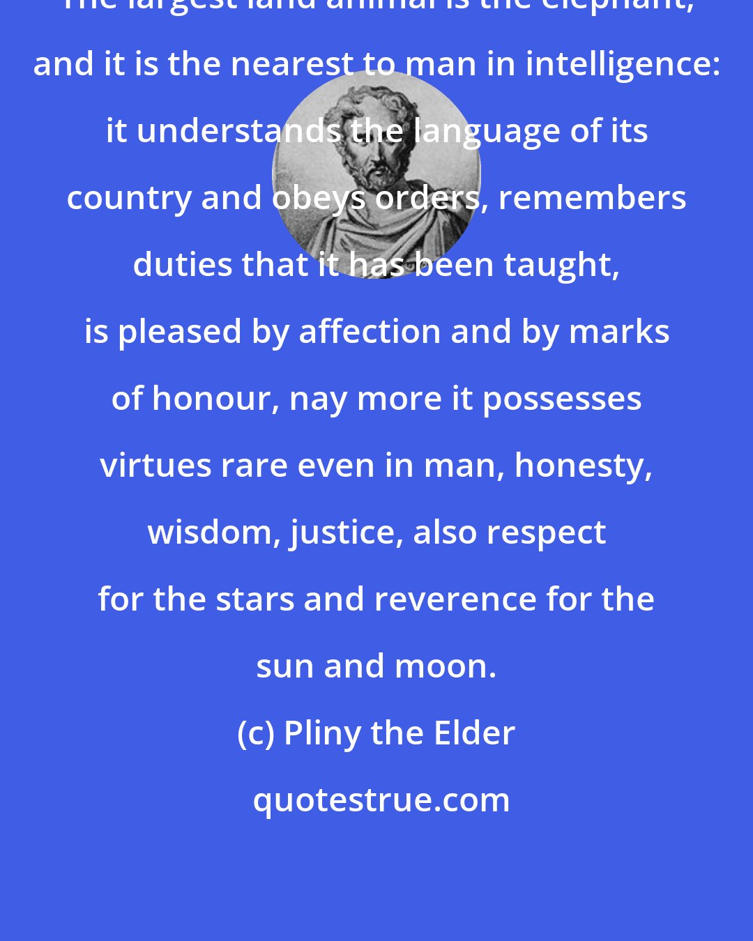 Pliny the Elder: The largest land animal is the elephant, and it is the nearest to man in intelligence: it understands the language of its country and obeys orders, remembers duties that it has been taught, is pleased by affection and by marks of honour, nay more it possesses virtues rare even in man, honesty, wisdom, justice, also respect for the stars and reverence for the sun and moon.