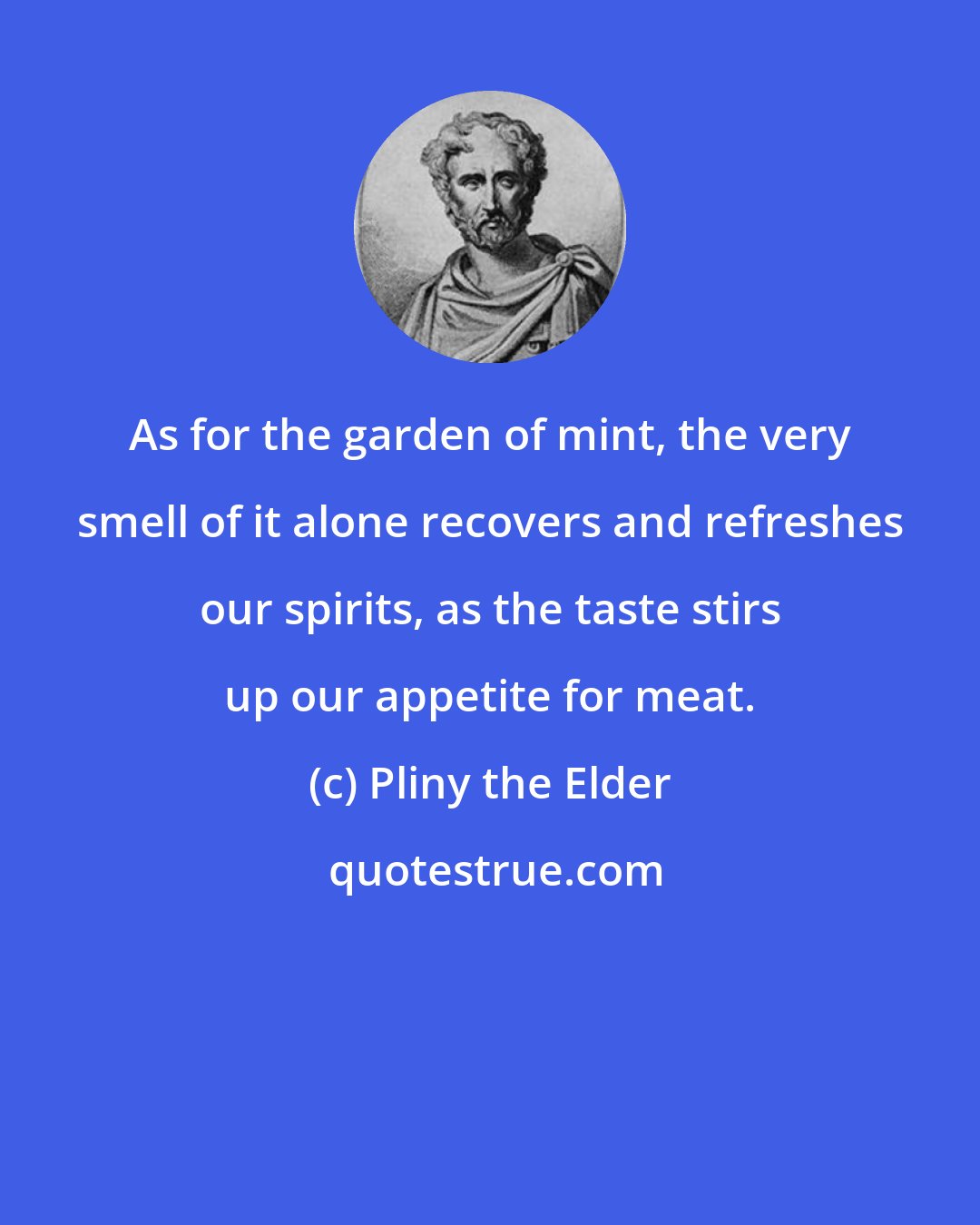 Pliny the Elder: As for the garden of mint, the very smell of it alone recovers and refreshes our spirits, as the taste stirs up our appetite for meat.