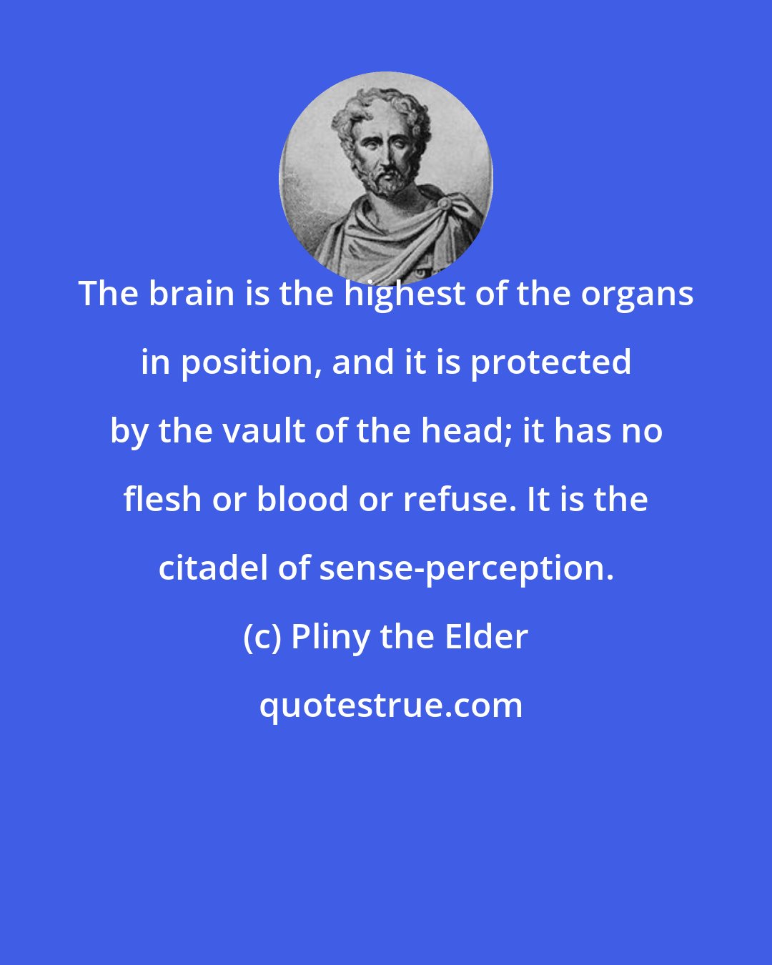 Pliny the Elder: The brain is the highest of the organs in position, and it is protected by the vault of the head; it has no flesh or blood or refuse. It is the citadel of sense-perception.