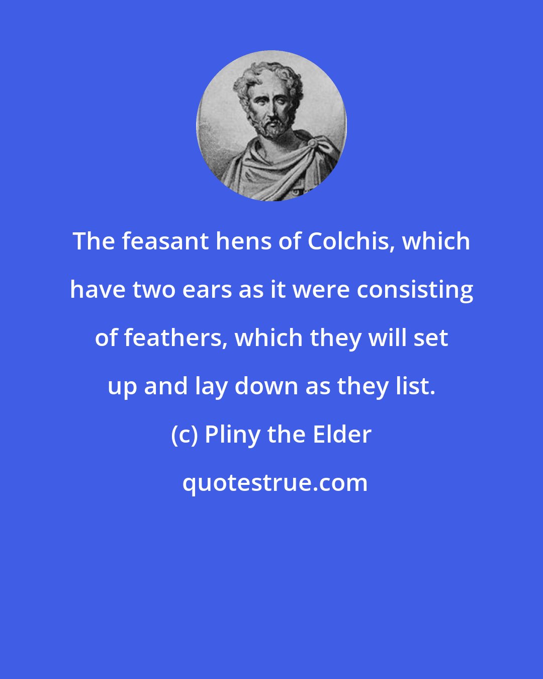 Pliny the Elder: The feasant hens of Colchis, which have two ears as it were consisting of feathers, which they will set up and lay down as they list.