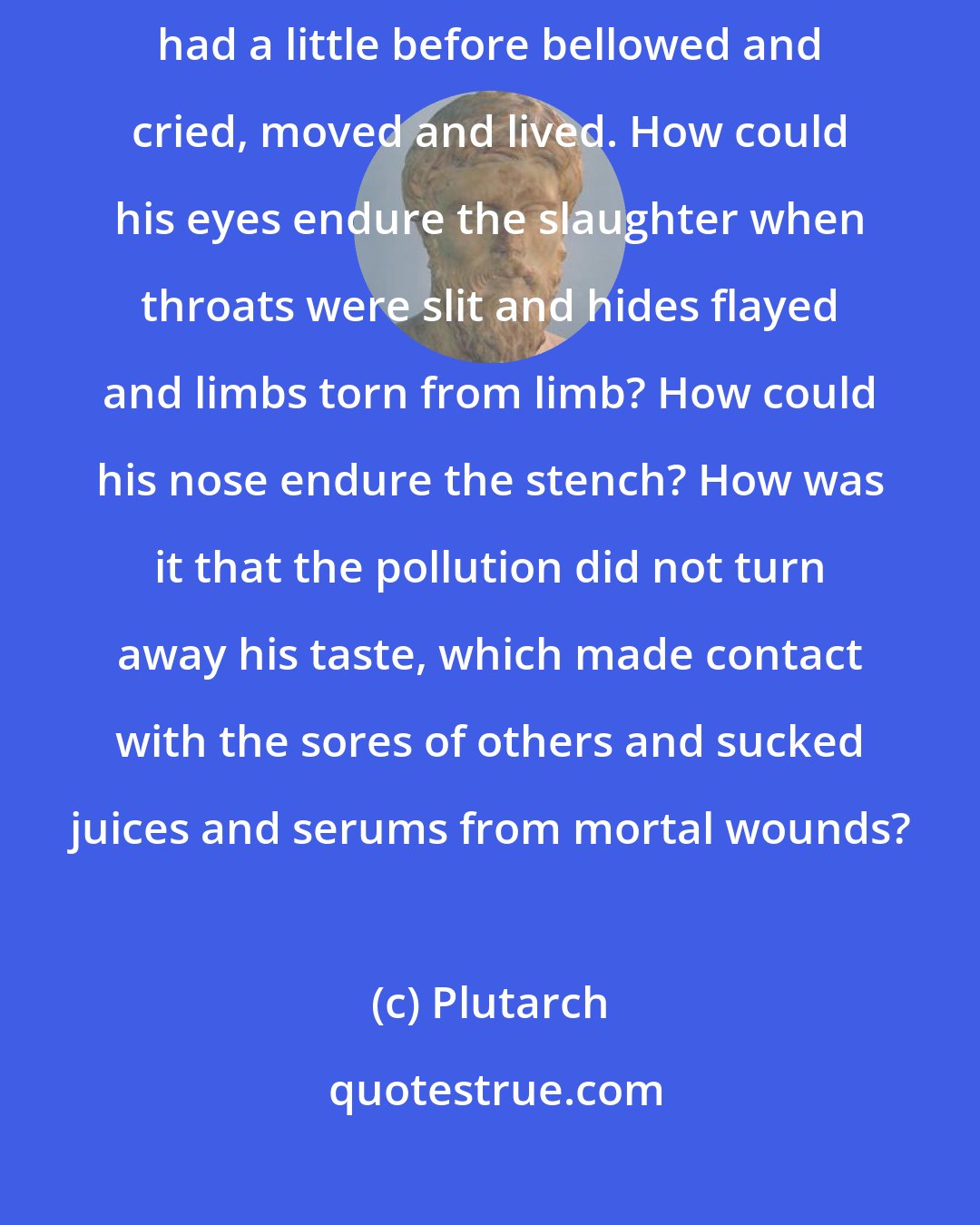 Plutarch: The first man . . . ventured to call food and nourishment the parts that had a little before bellowed and cried, moved and lived. How could his eyes endure the slaughter when throats were slit and hides flayed and limbs torn from limb? How could his nose endure the stench? How was it that the pollution did not turn away his taste, which made contact with the sores of others and sucked juices and serums from mortal wounds?