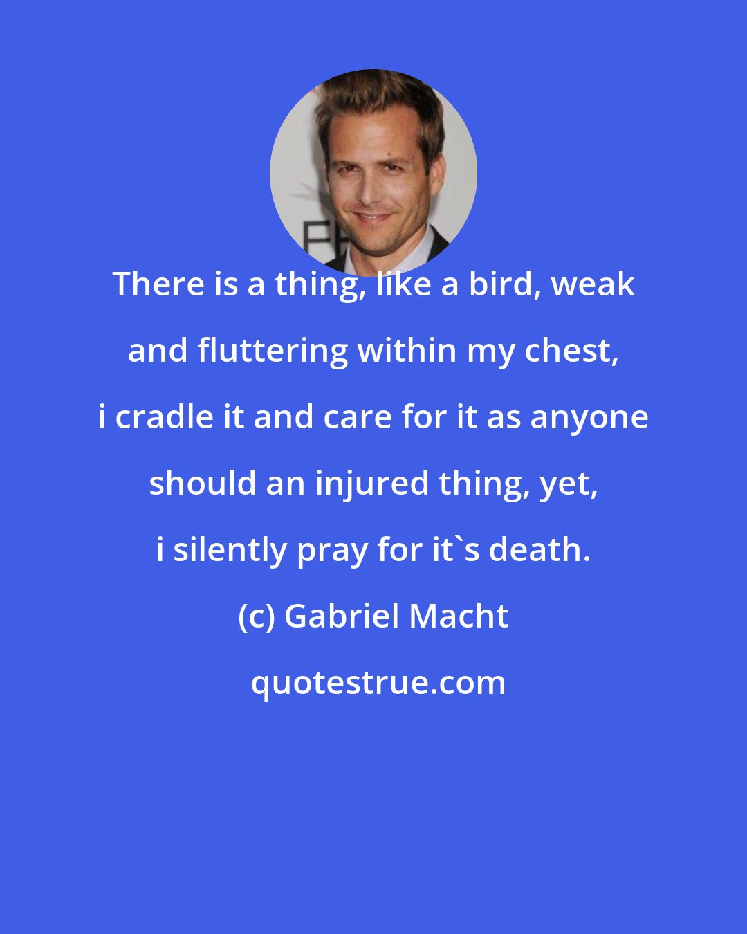 Gabriel Macht: There is a thing, like a bird, weak and fluttering within my chest, i cradle it and care for it as anyone should an injured thing, yet, i silently pray for it's death.