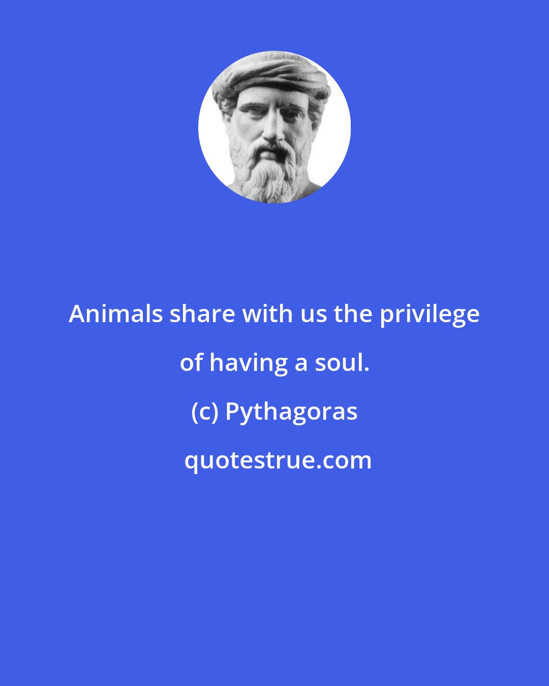 Pythagoras: Animals share with us the privilege of having a soul.