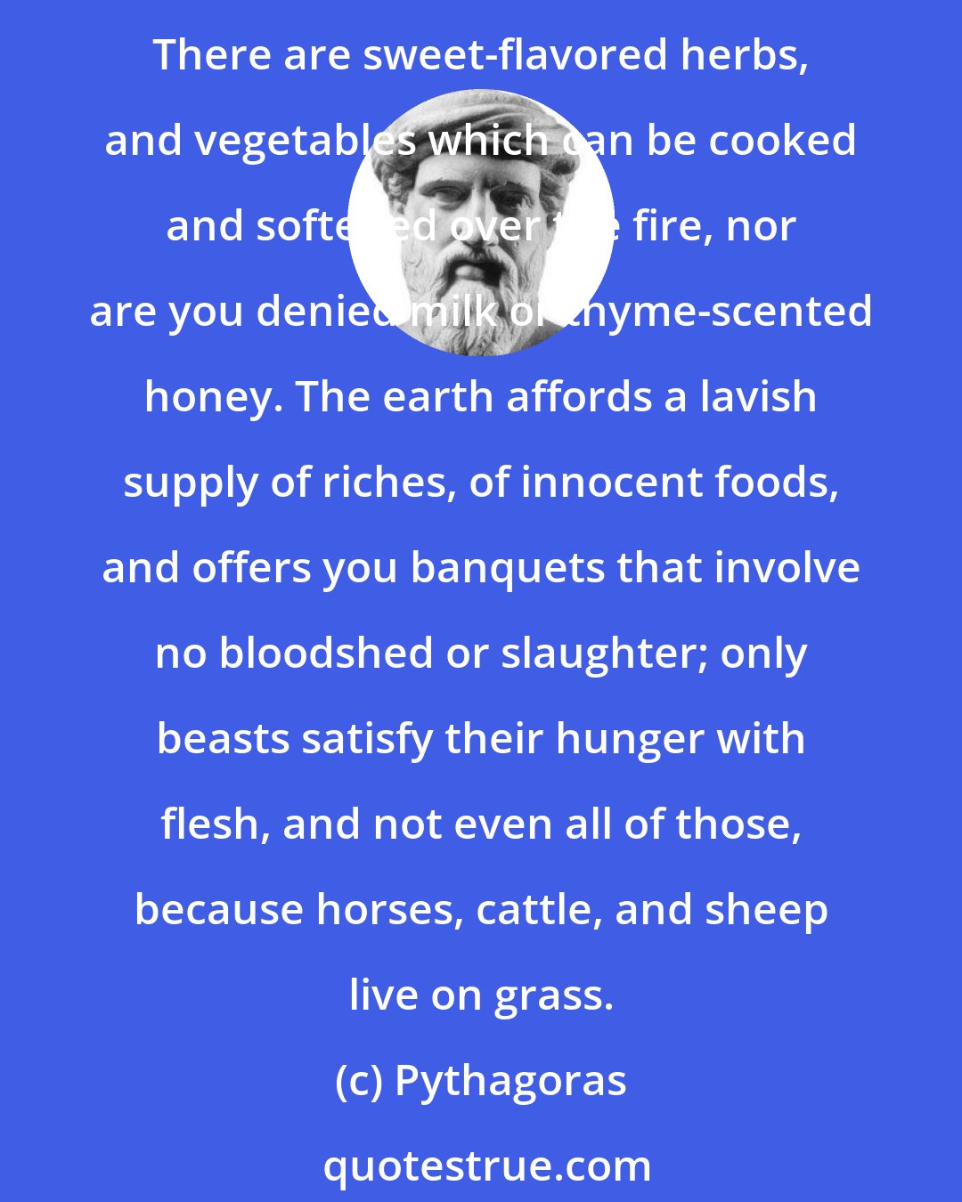 Pythagoras: Oh, my fellow men, do not defile your bodies with sinful foods. We have corn, we have apples bending down the branches with their weight, and grapes swelling on the vines. There are sweet-flavored herbs, and vegetables which can be cooked and softened over the fire, nor are you denied milk or thyme-scented honey. The earth affords a lavish supply of riches, of innocent foods, and offers you banquets that involve no bloodshed or slaughter; only beasts satisfy their hunger with flesh, and not even all of those, because horses, cattle, and sheep live on grass.