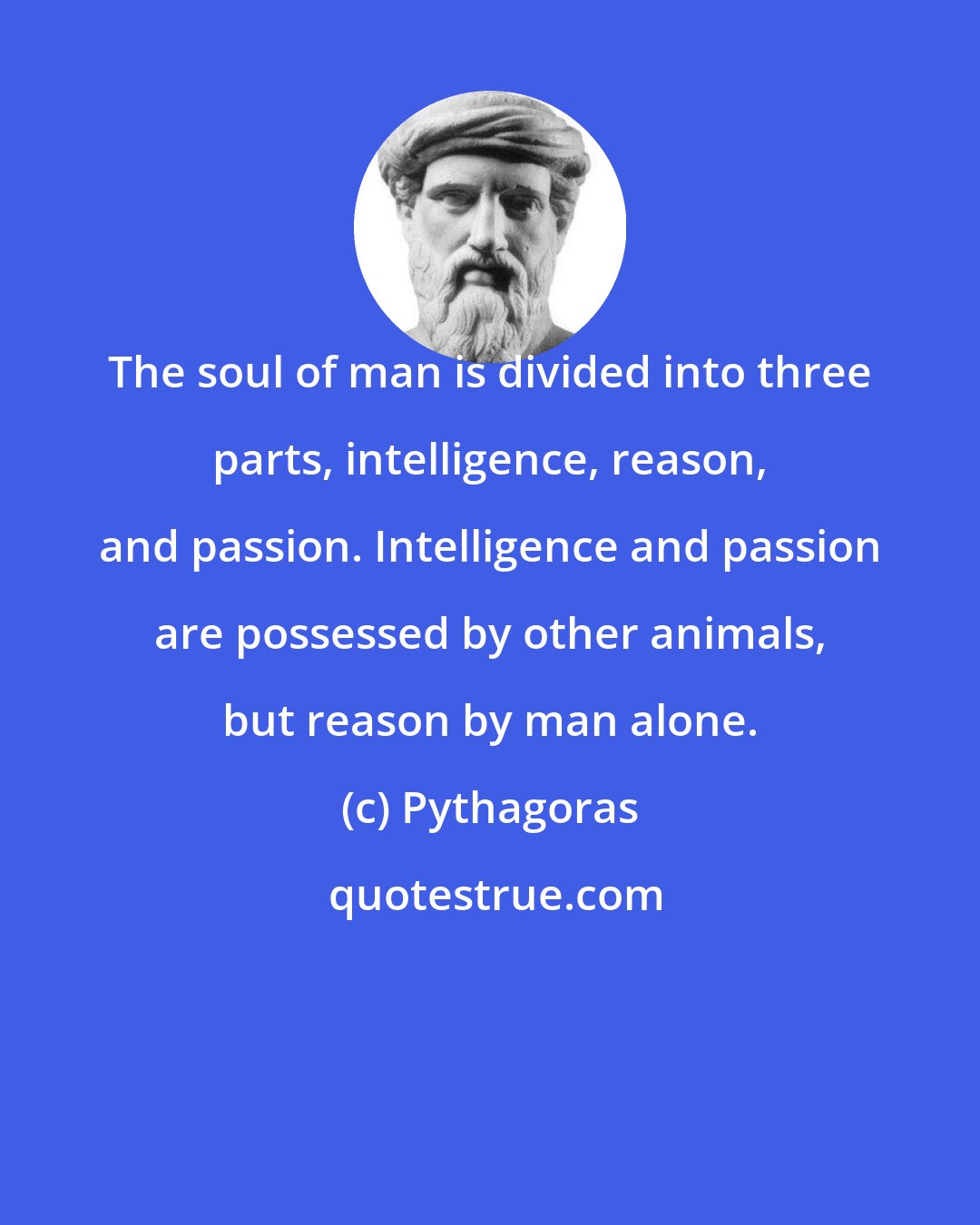 Pythagoras: The soul of man is divided into three parts, intelligence, reason, and passion. Intelligence and passion are possessed by other animals, but reason by man alone.