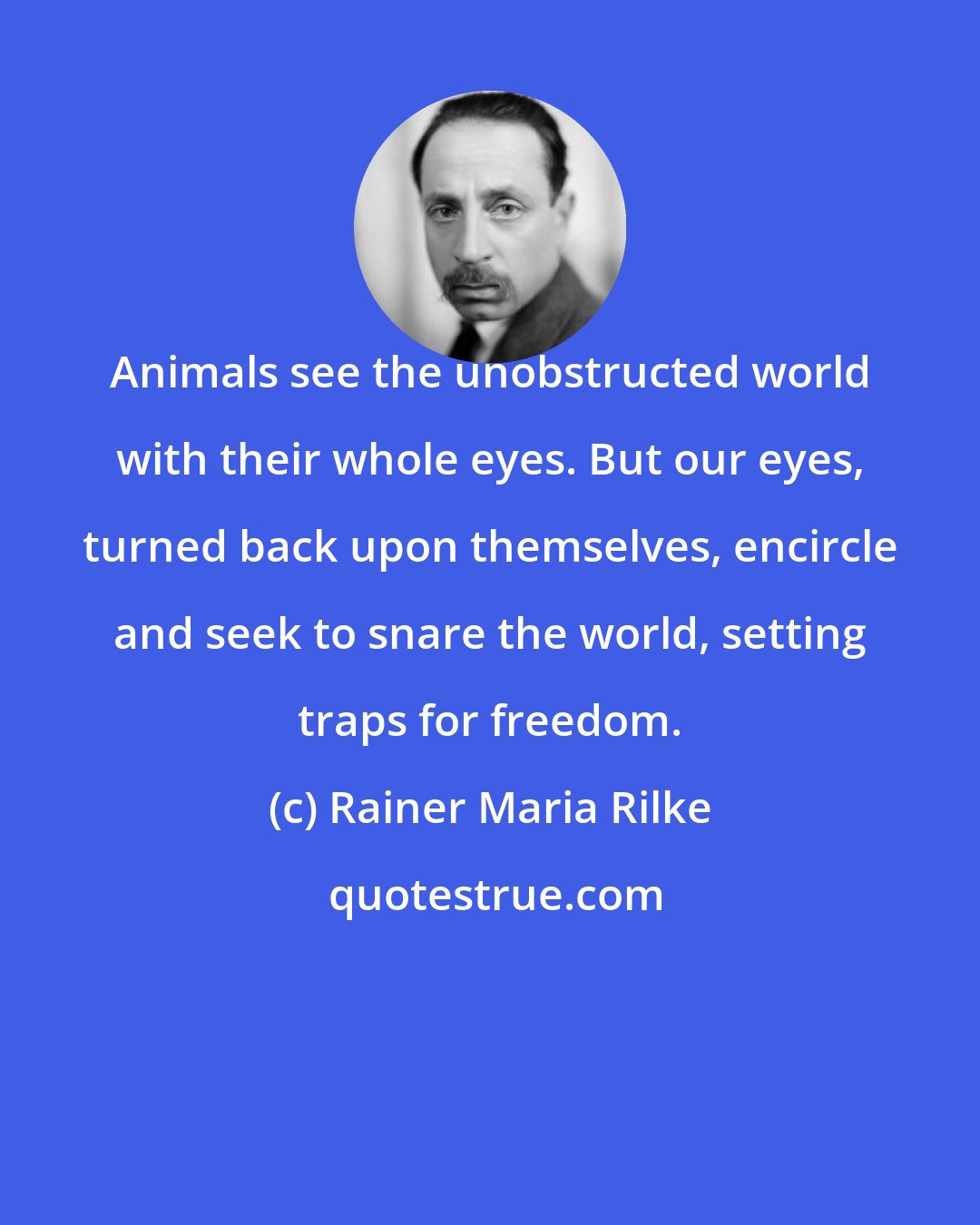 Rainer Maria Rilke: Animals see the unobstructed world with their whole eyes. But our eyes, turned back upon themselves, encircle and seek to snare the world, setting traps for freedom.