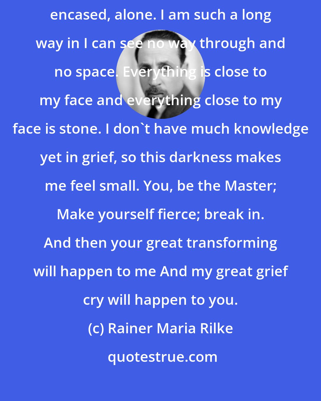 Rainer Maria Rilke: It is possible I am pushing through solid rock, like the vein of ore encased, alone. I am such a long way in I can see no way through and no space. Everything is close to my face and everything close to my face is stone. I don't have much knowledge yet in grief, so this darkness makes me feel small. You, be the Master; Make yourself fierce; break in. And then your great transforming will happen to me And my great grief cry will happen to you.