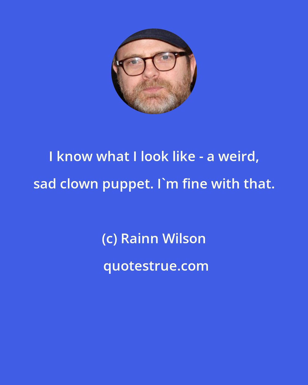 Rainn Wilson: I know what I look like - a weird, sad clown puppet. I'm fine with that.