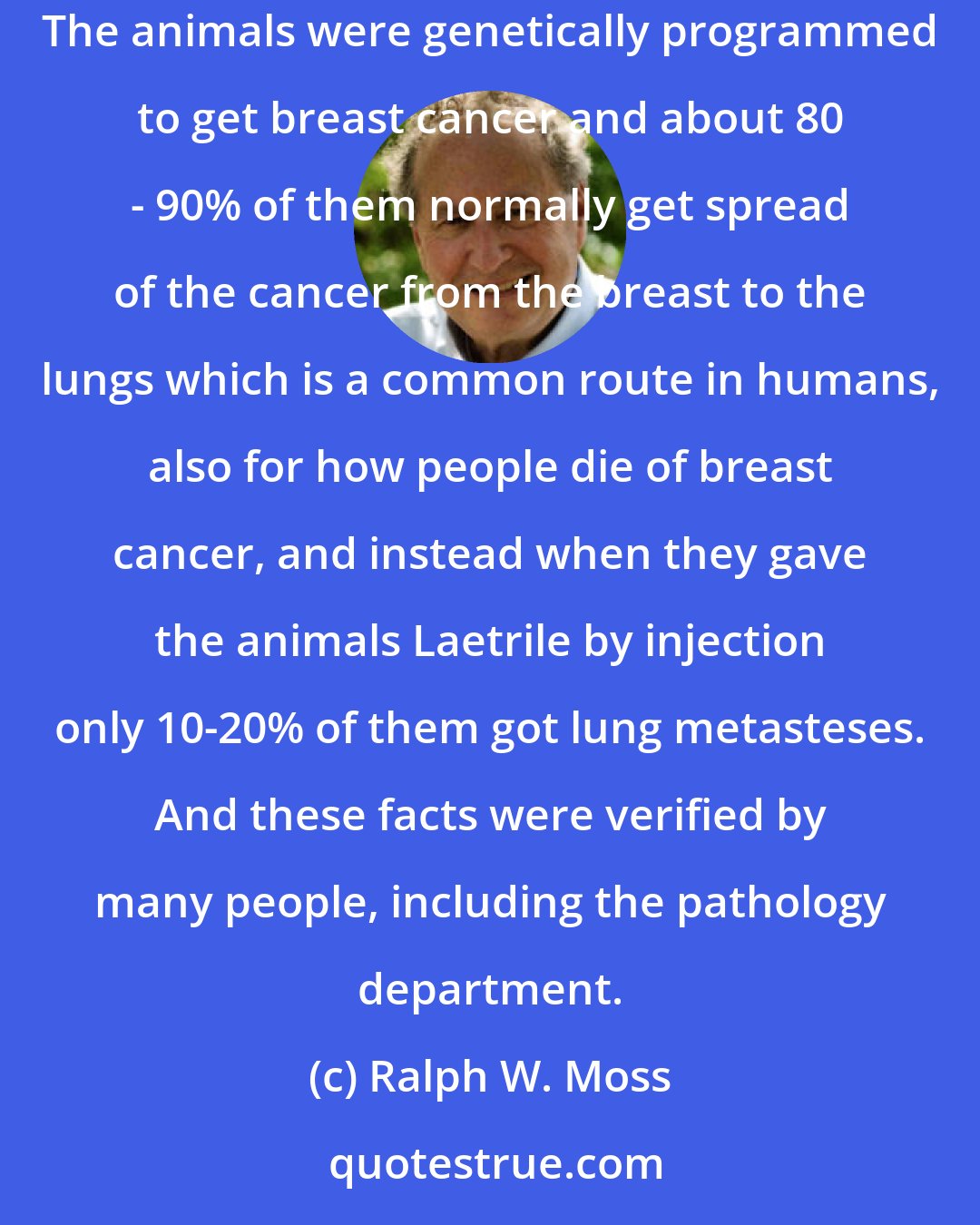 Ralph W. Moss: Kanematsu Sugiura.....took down lab books and showed me that in fact Laetrile is dramatically effective in stopping the spread of cancer. The animals were genetically programmed to get breast cancer and about 80 - 90% of them normally get spread of the cancer from the breast to the lungs which is a common route in humans, also for how people die of breast cancer, and instead when they gave the animals Laetrile by injection only 10-20% of them got lung metasteses. And these facts were verified by many people, including the pathology department.