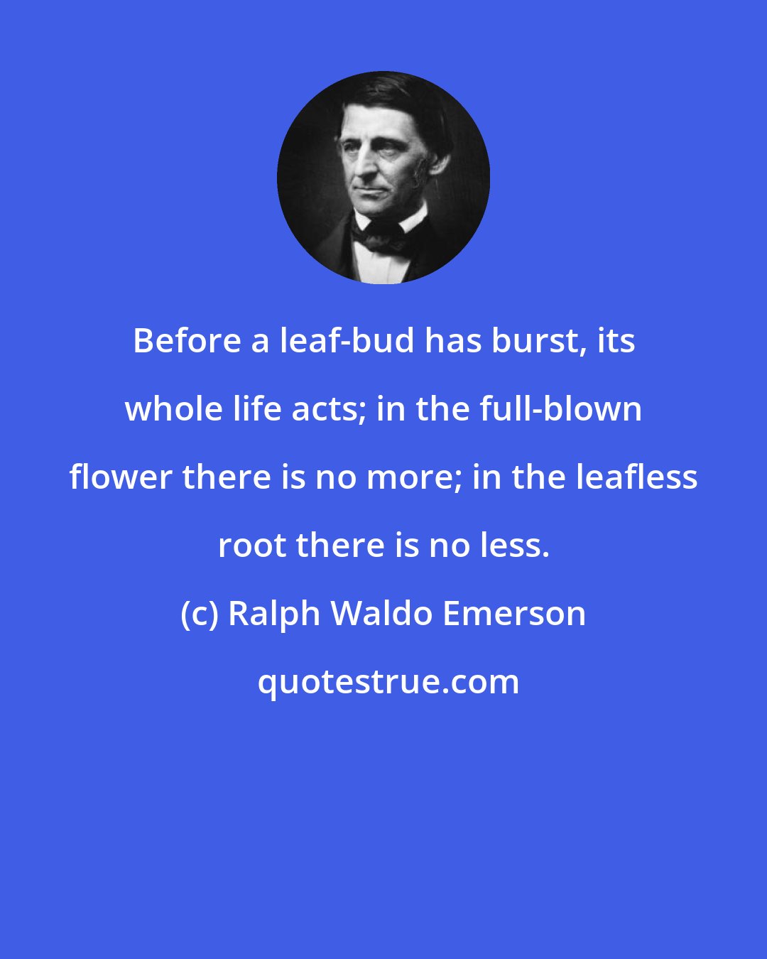 Ralph Waldo Emerson: Before a leaf-bud has burst, its whole life acts; in the full-blown flower there is no more; in the leafless root there is no less.