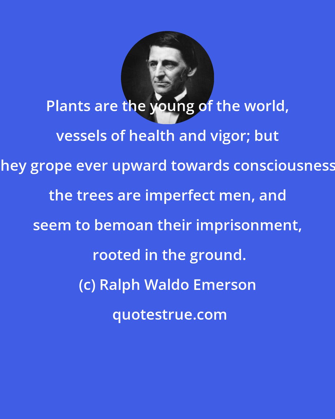 Ralph Waldo Emerson: Plants are the young of the world, vessels of health and vigor; but they grope ever upward towards consciousness; the trees are imperfect men, and seem to bemoan their imprisonment,  rooted in the ground.