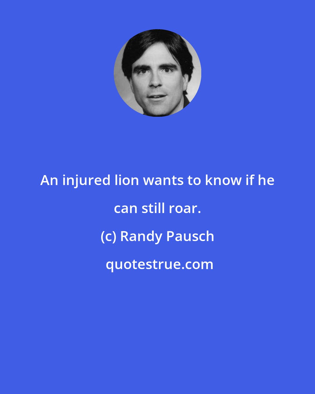 Randy Pausch: An injured lion wants to know if he can still roar.