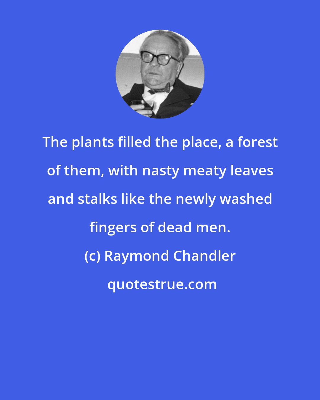 Raymond Chandler: The plants filled the place, a forest of them, with nasty meaty leaves and stalks like the newly washed fingers of dead men.