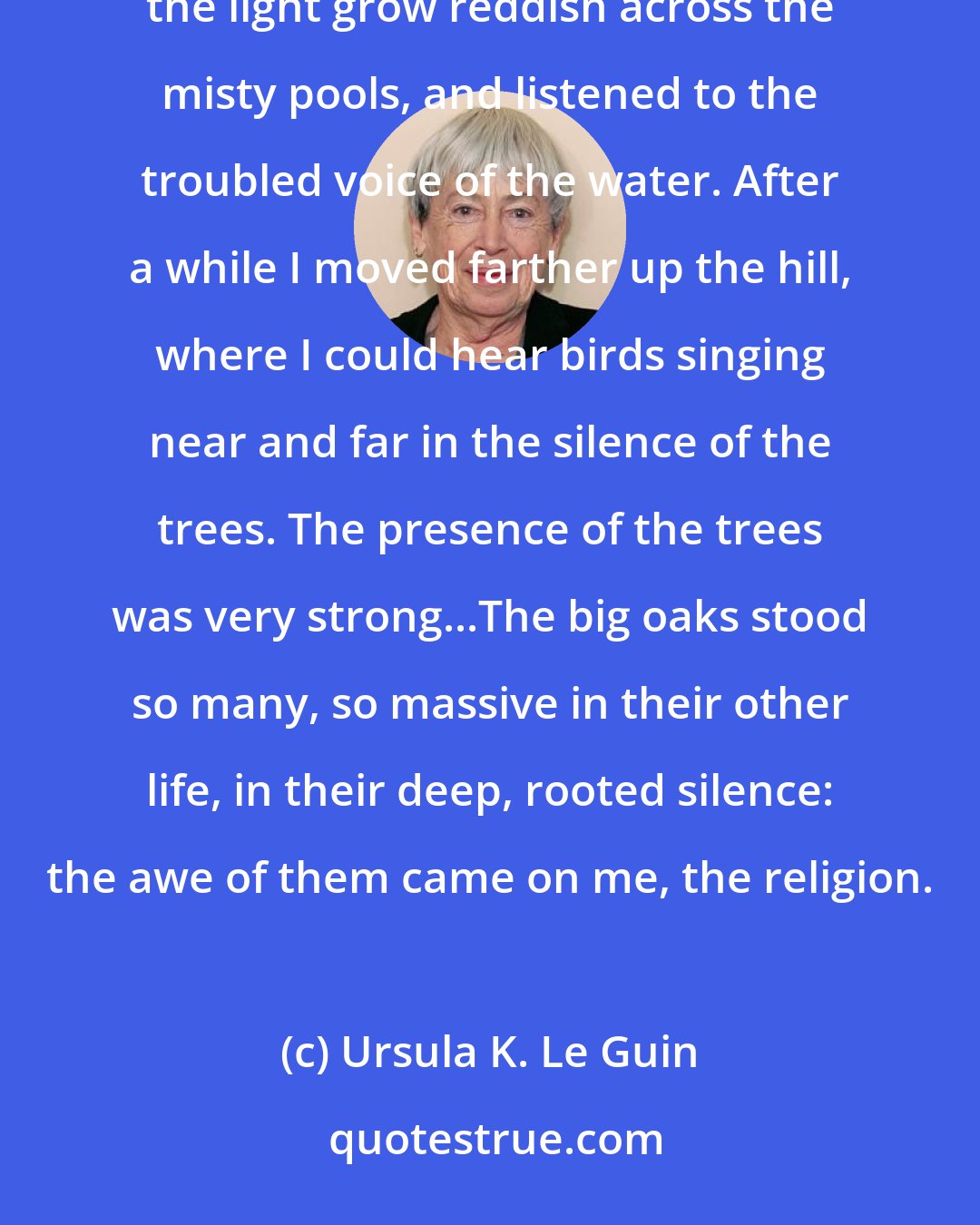 Ursula K. Le Guin: I went to the springs while the sun was still up, and sitting on a rocky outcrop above the cave mouth I watched the light grow reddish across the misty pools, and listened to the troubled voice of the water. After a while I moved farther up the hill, where I could hear birds singing near and far in the silence of the trees. The presence of the trees was very strong...The big oaks stood so many, so massive in their other life, in their deep, rooted silence: the awe of them came on me, the religion.