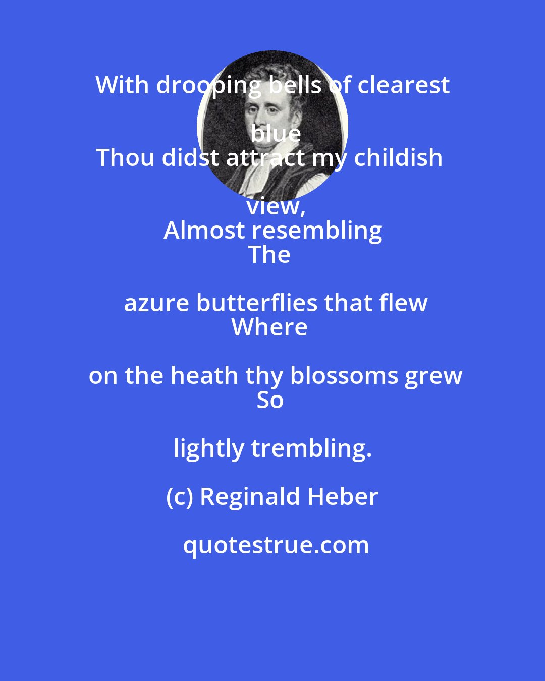 Reginald Heber: With drooping bells of clearest blue
Thou didst attract my childish view,
Almost resembling
The azure butterflies that flew
Where on the heath thy blossoms grew
So lightly trembling.