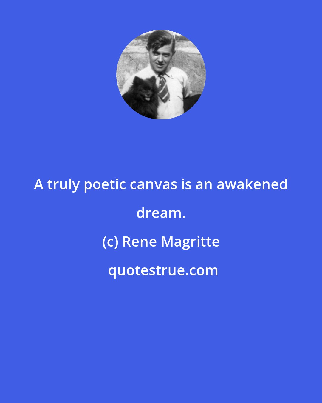 Rene Magritte: A truly poetic canvas is an awakened dream.