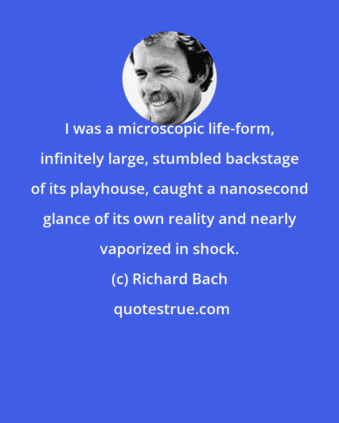 Richard Bach: I was a microscopic life-form, infinitely large, stumbled backstage of its playhouse, caught a nanosecond glance of its own reality and nearly vaporized in shock.