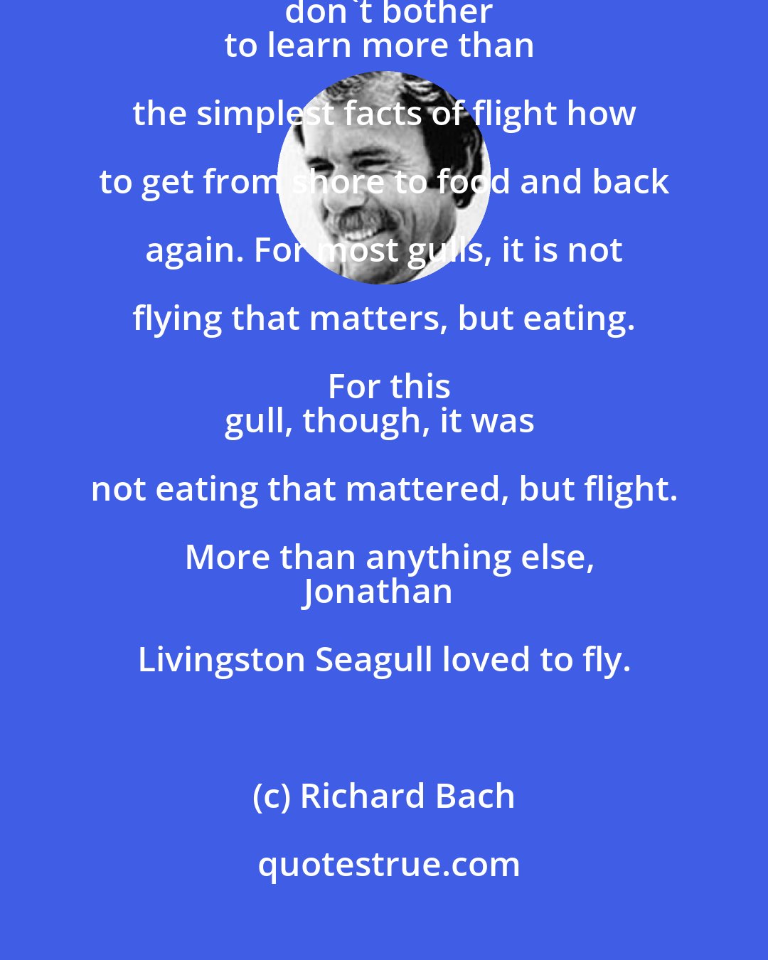 Richard Bach: Jonathan Livingston Seagull . . . was no ordinary bird. Most gulls don't bother
to learn more than the simplest facts of flight how to get from shore to food and back again. For most gulls, it is not flying that matters, but eating. For this
gull, though, it was not eating that mattered, but flight. More than anything else,
Jonathan Livingston Seagull loved to fly.