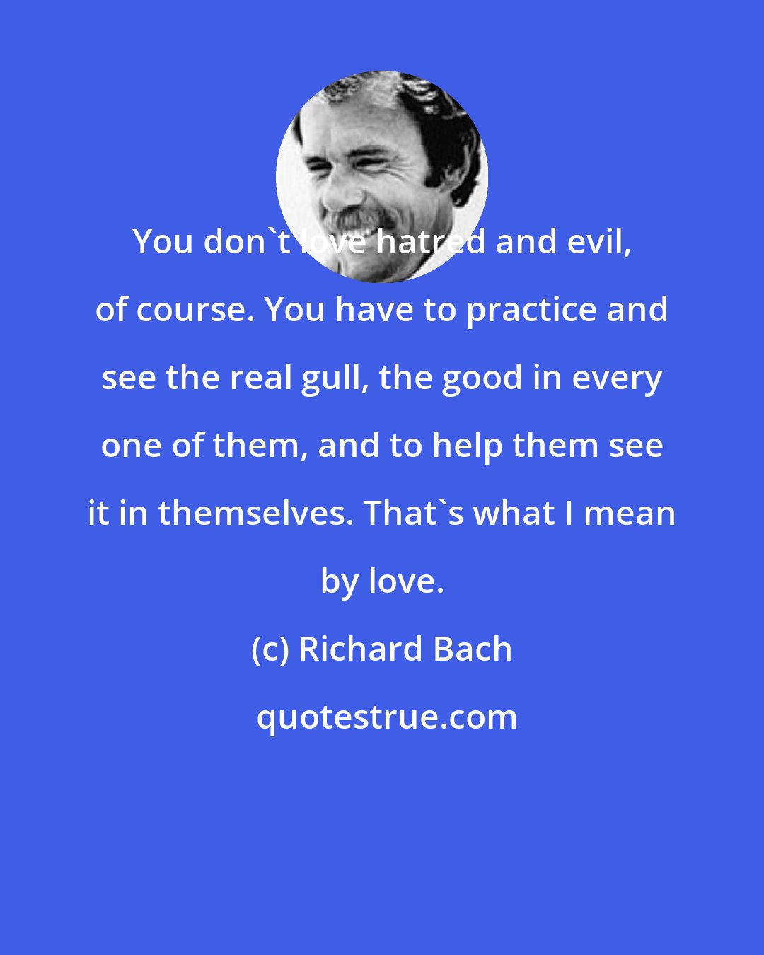 Richard Bach: You don't love hatred and evil, of course. You have to practice and see the real gull, the good in every one of them, and to help them see it in themselves. That's what I mean by love.