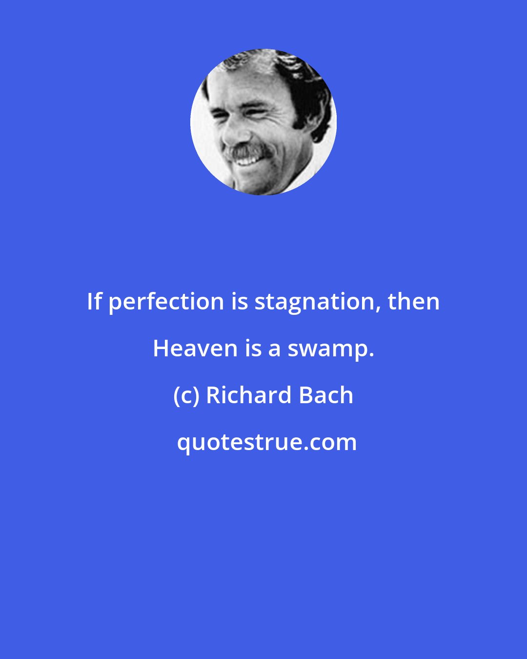 Richard Bach: If perfection is stagnation, then Heaven is a swamp.