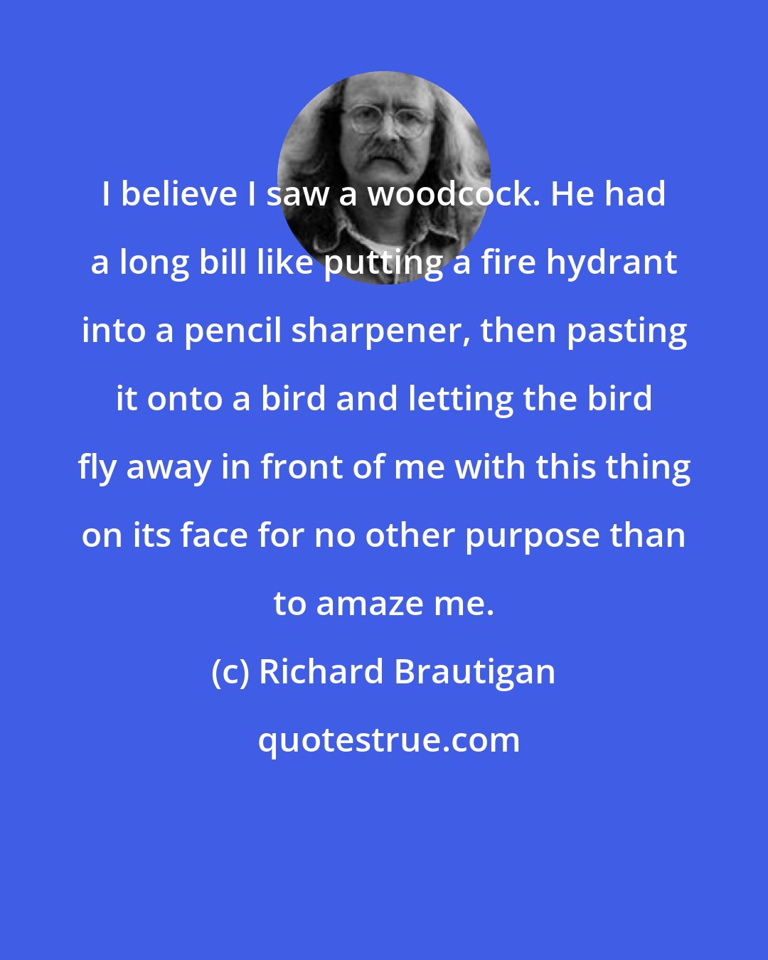 Richard Brautigan: I believe I saw a woodcock. He had a long bill like putting a fire hydrant into a pencil sharpener, then pasting it onto a bird and letting the bird fly away in front of me with this thing on its face for no other purpose than to amaze me.