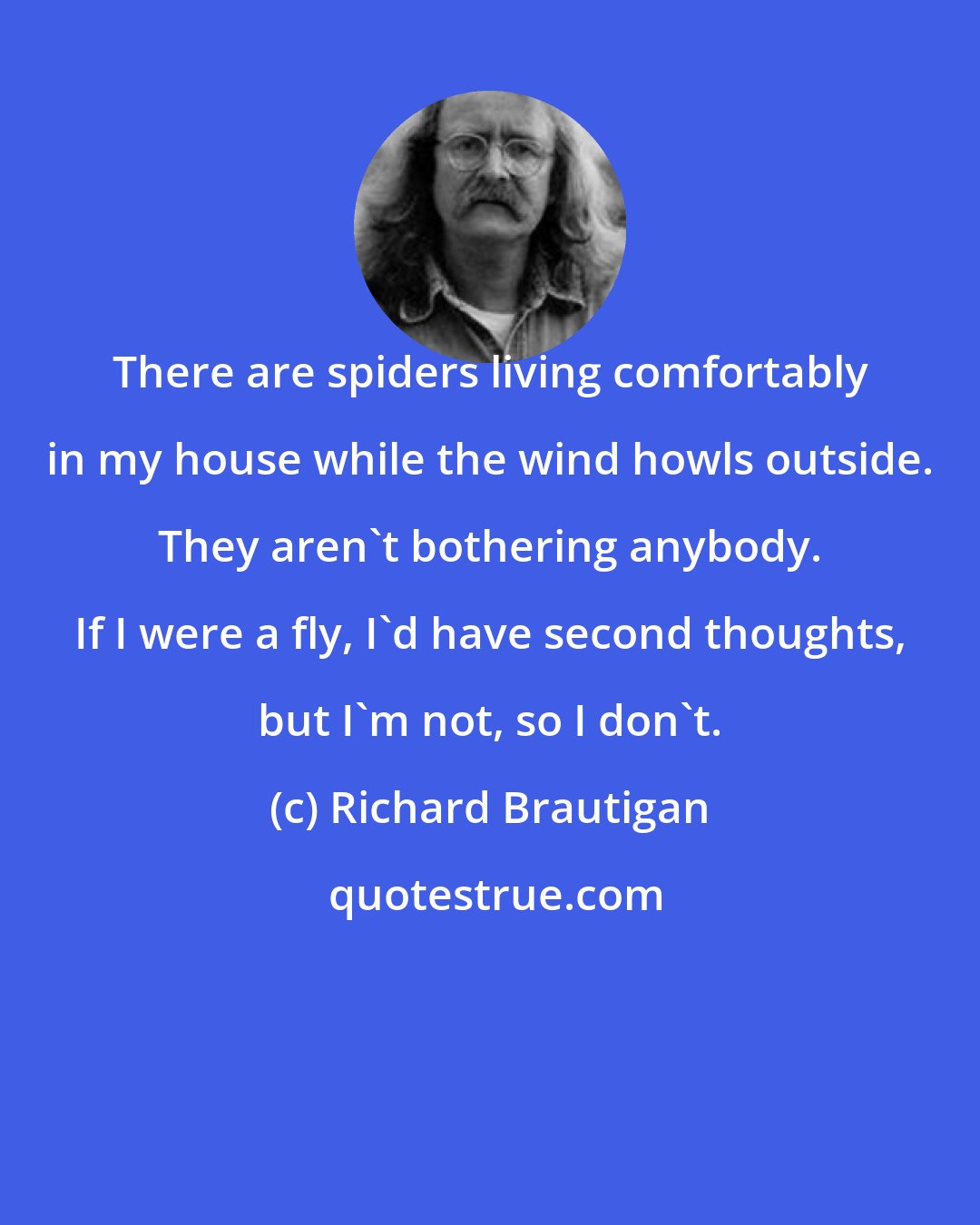 Richard Brautigan: There are spiders living comfortably in my house while the wind howls outside. They aren't bothering anybody. If I were a fly, I'd have second thoughts, but I'm not, so I don't.