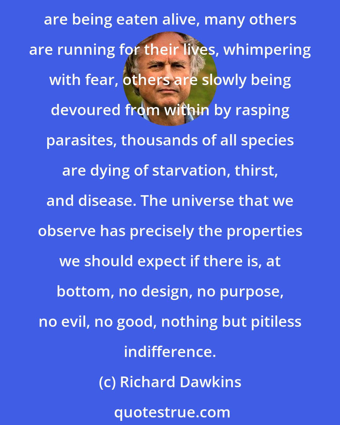 Richard Dawkins: The total amount of suffering per year in the natural world is beyond all decent contemplation. During the minute that it takes me to compose this sentence, thousands of animals are being eaten alive, many others are running for their lives, whimpering with fear, others are slowly being devoured from within by rasping parasites, thousands of all species are dying of starvation, thirst, and disease. The universe that we observe has precisely the properties we should expect if there is, at bottom, no design, no purpose, no evil, no good, nothing but pitiless indifference.