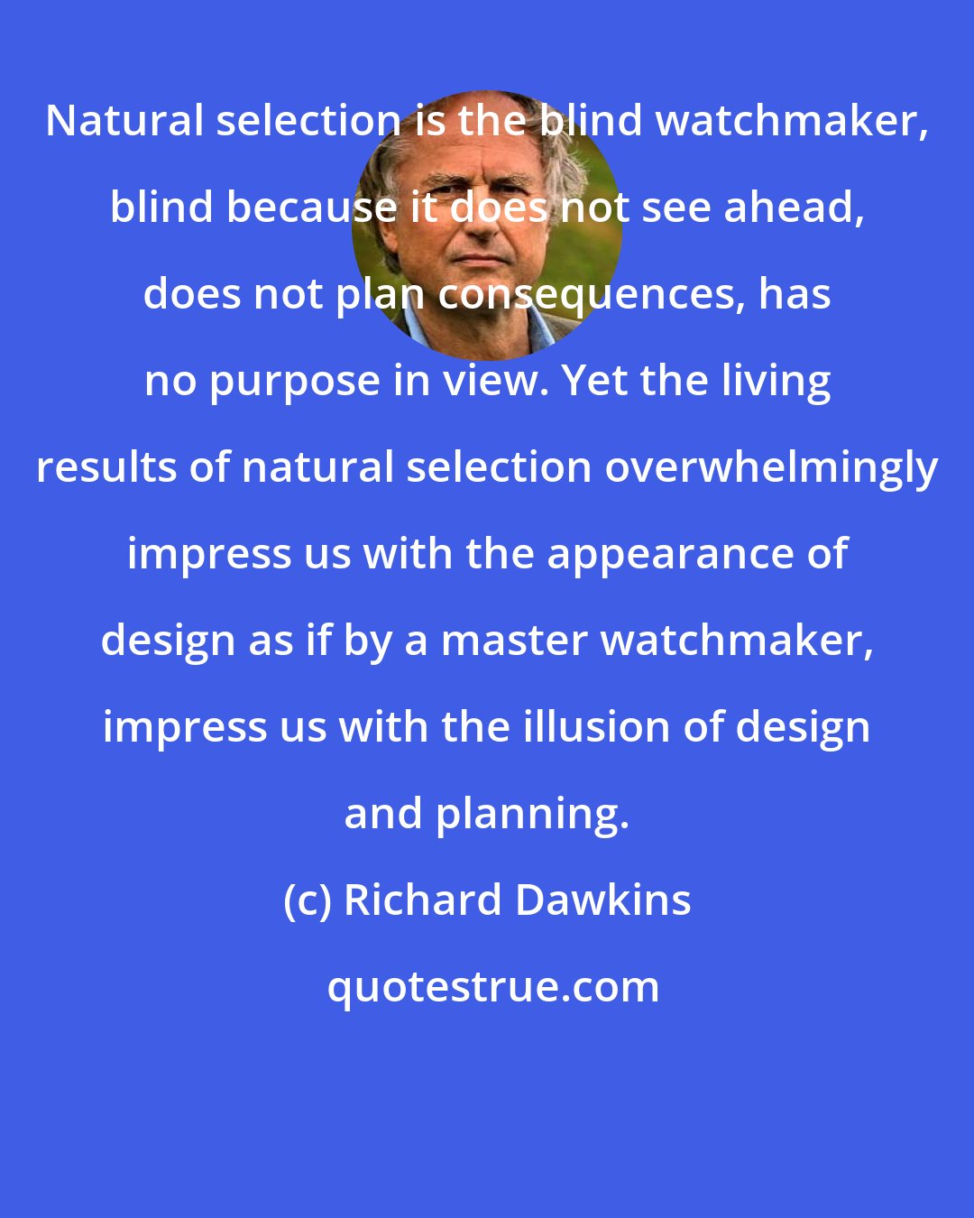 Richard Dawkins: Natural selection is the blind watchmaker, blind because it does not see ahead, does not plan consequences, has no purpose in view. Yet the living results of natural selection overwhelmingly impress us with the appearance of design as if by a master watchmaker, impress us with the illusion of design and planning.