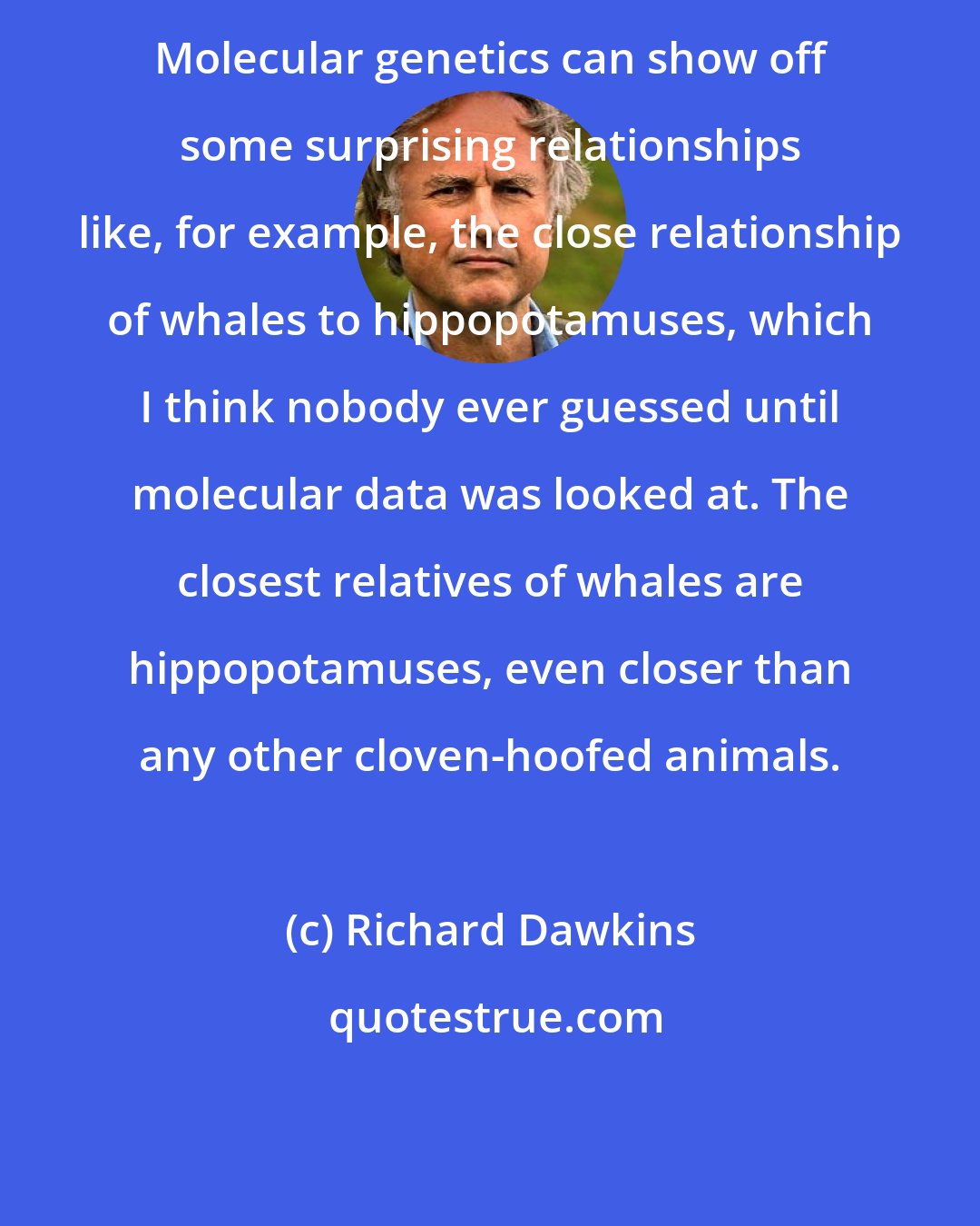 Richard Dawkins: Molecular genetics can show off some surprising relationships like, for example, the close relationship of whales to hippopotamuses, which I think nobody ever guessed until molecular data was looked at. The closest relatives of whales are hippopotamuses, even closer than any other cloven-hoofed animals.