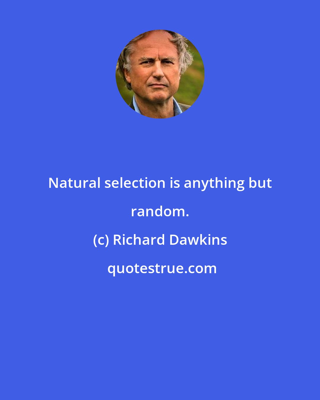 Richard Dawkins: Natural selection is anything but random.