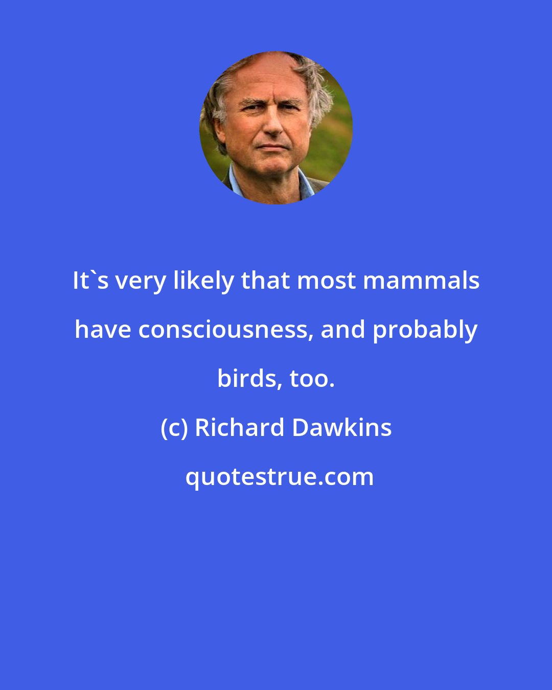 Richard Dawkins: It's very likely that most mammals have consciousness, and probably birds, too.