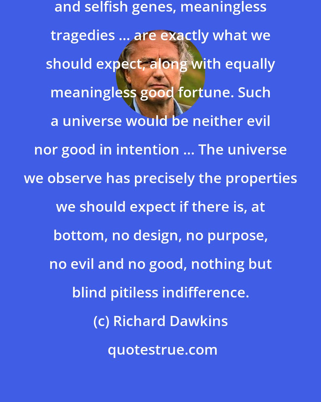 Richard Dawkins: If the universe were just electrons and selfish genes, meaningless tragedies ... are exactly what we should expect, along with equally meaningless good fortune. Such a universe would be neither evil nor good in intention ... The universe we observe has precisely the properties we should expect if there is, at bottom, no design, no purpose, no evil and no good, nothing but blind pitiless indifference.