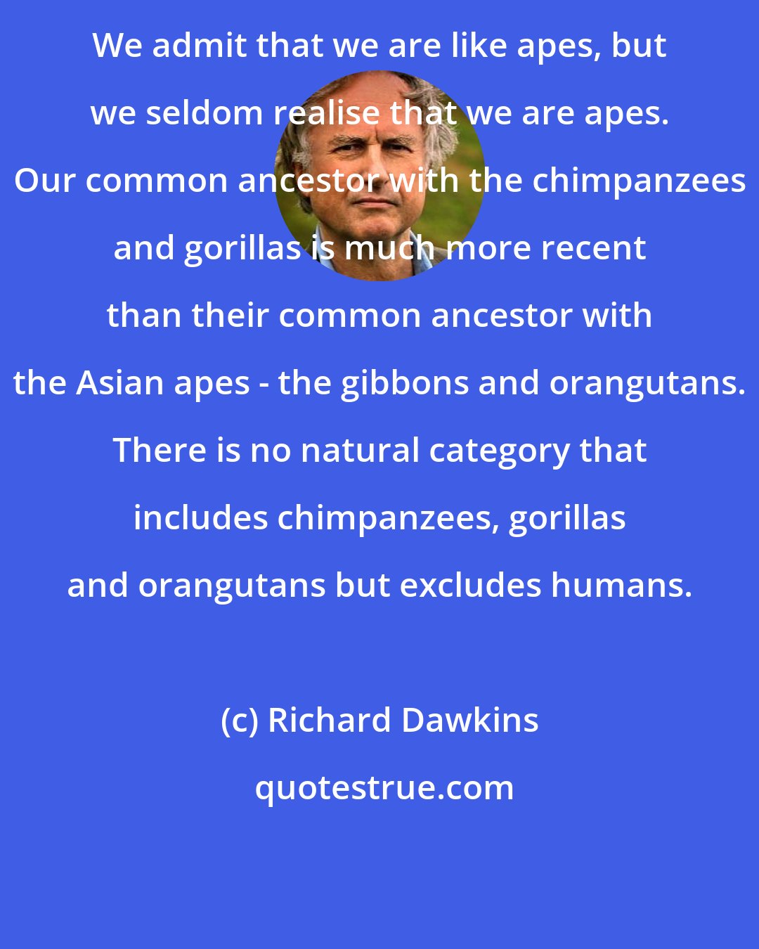 Richard Dawkins: We admit that we are like apes, but we seldom realise that we are apes. Our common ancestor with the chimpanzees and gorillas is much more recent than their common ancestor with the Asian apes - the gibbons and orangutans. There is no natural category that includes chimpanzees, gorillas and orangutans but excludes humans.