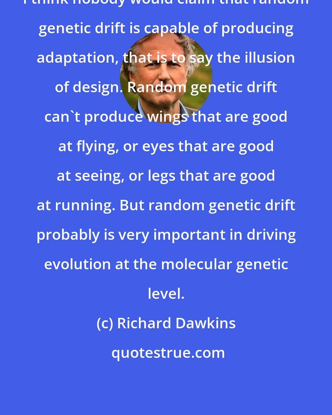 Richard Dawkins: I think nobody would claim that random genetic drift is capable of producing adaptation, that is to say the illusion of design. Random genetic drift can't produce wings that are good at flying, or eyes that are good at seeing, or legs that are good at running. But random genetic drift probably is very important in driving evolution at the molecular genetic level.