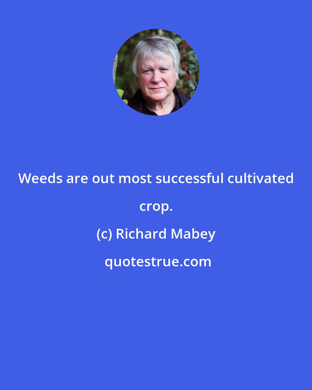 Richard Mabey: Weeds are out most successful cultivated crop.