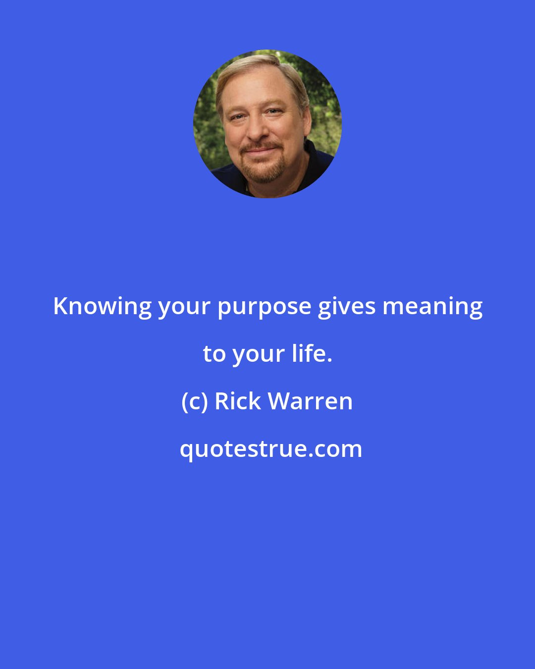 Rick Warren: Knowing your purpose gives meaning to your life.