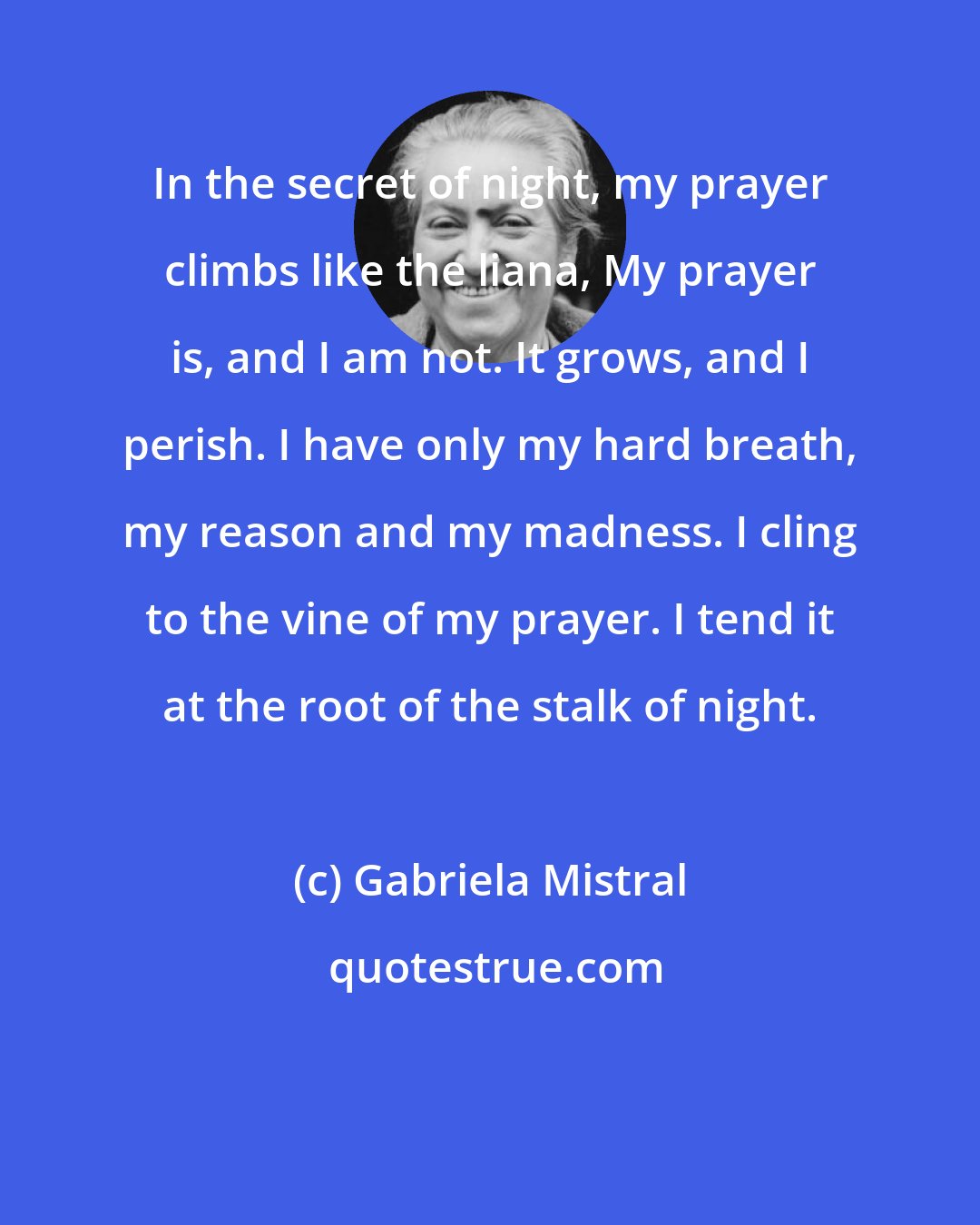Gabriela Mistral: In the secret of night, my prayer climbs like the liana, My prayer is, and I am not. It grows, and I perish. I have only my hard breath, my reason and my madness. I cling to the vine of my prayer. I tend it at the root of the stalk of night.