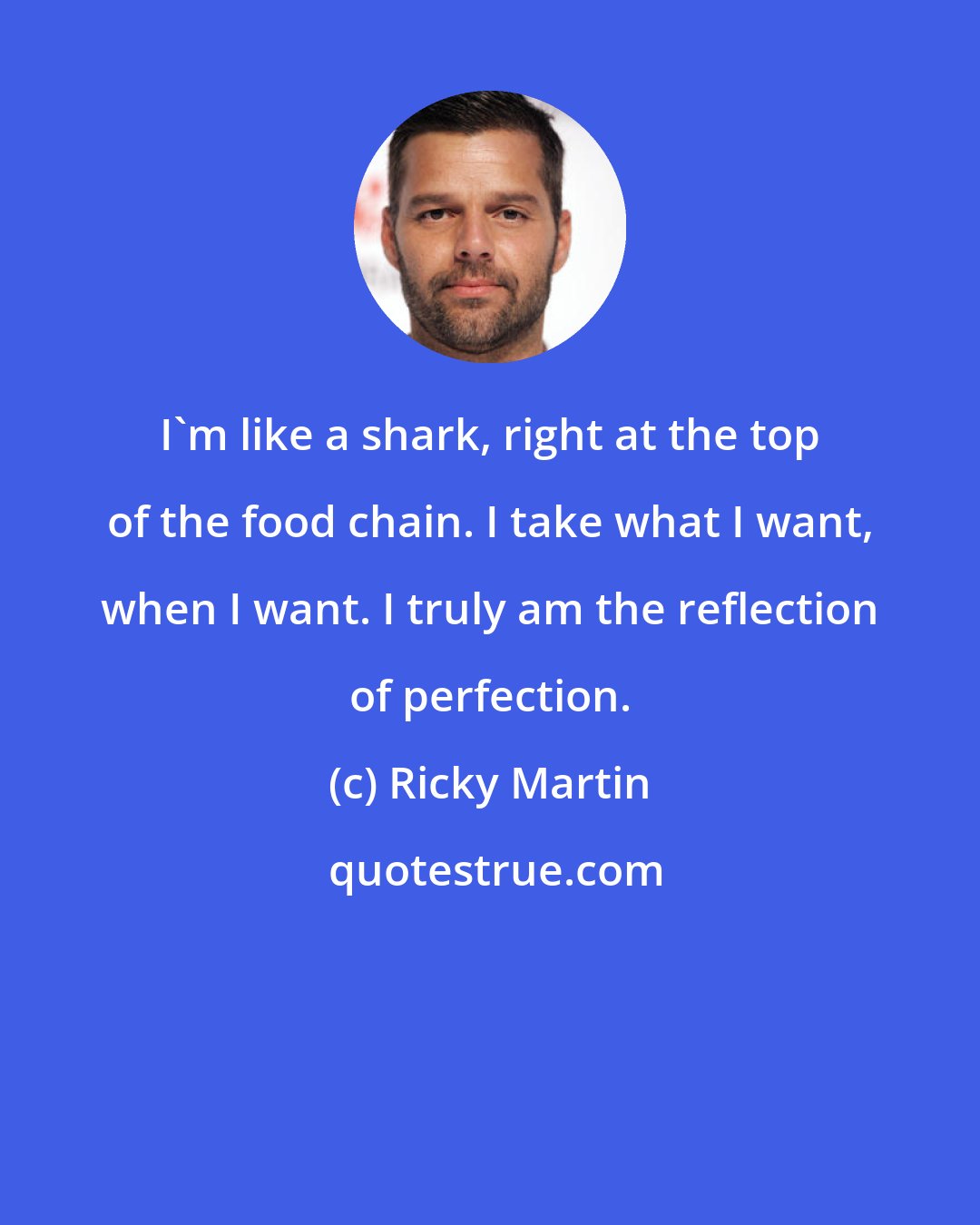 Ricky Martin: I'm like a shark, right at the top of the food chain. I take what I want, when I want. I truly am the reflection of perfection.