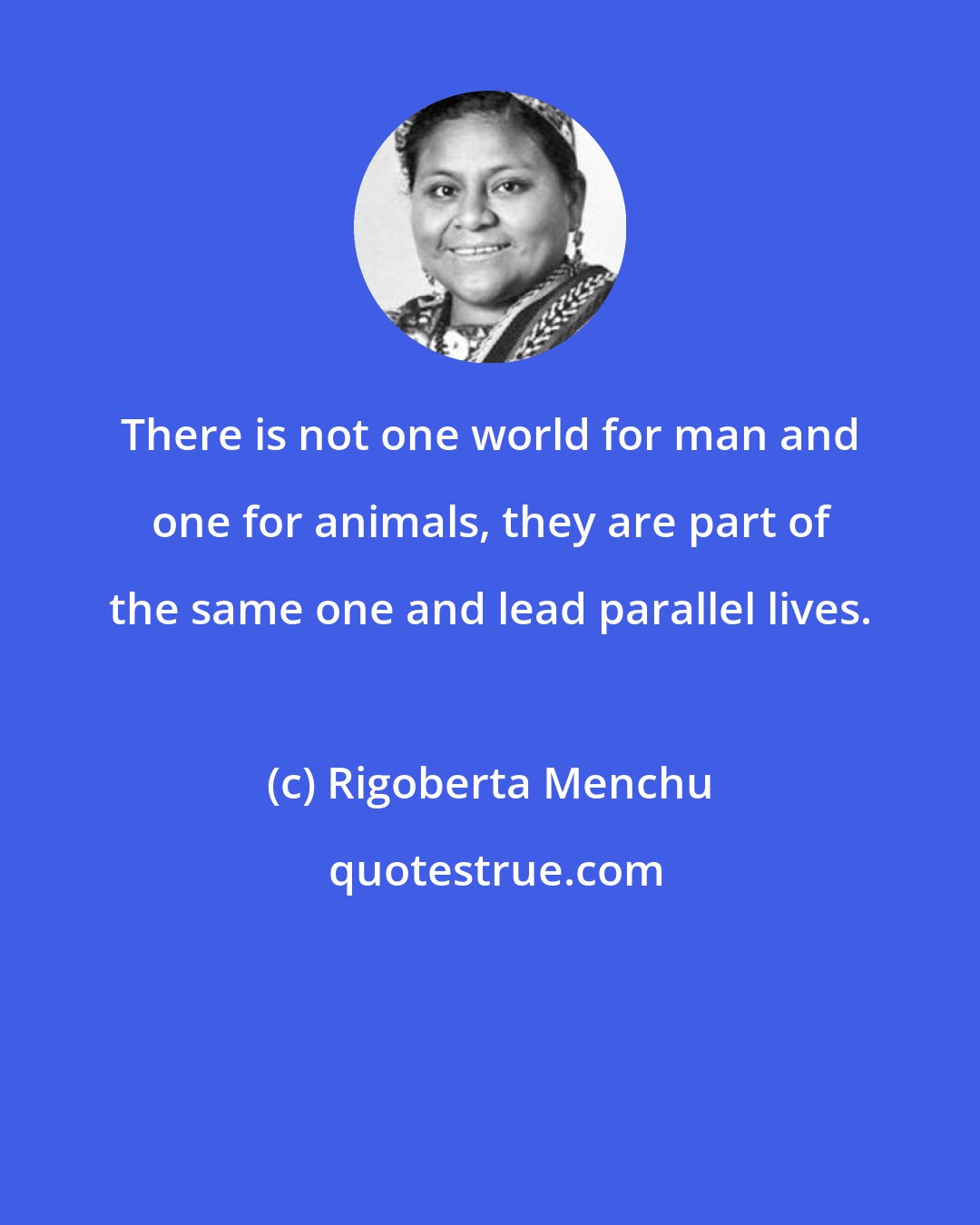 Rigoberta Menchu: There is not one world for man and one for animals, they are part of the same one and lead parallel lives.