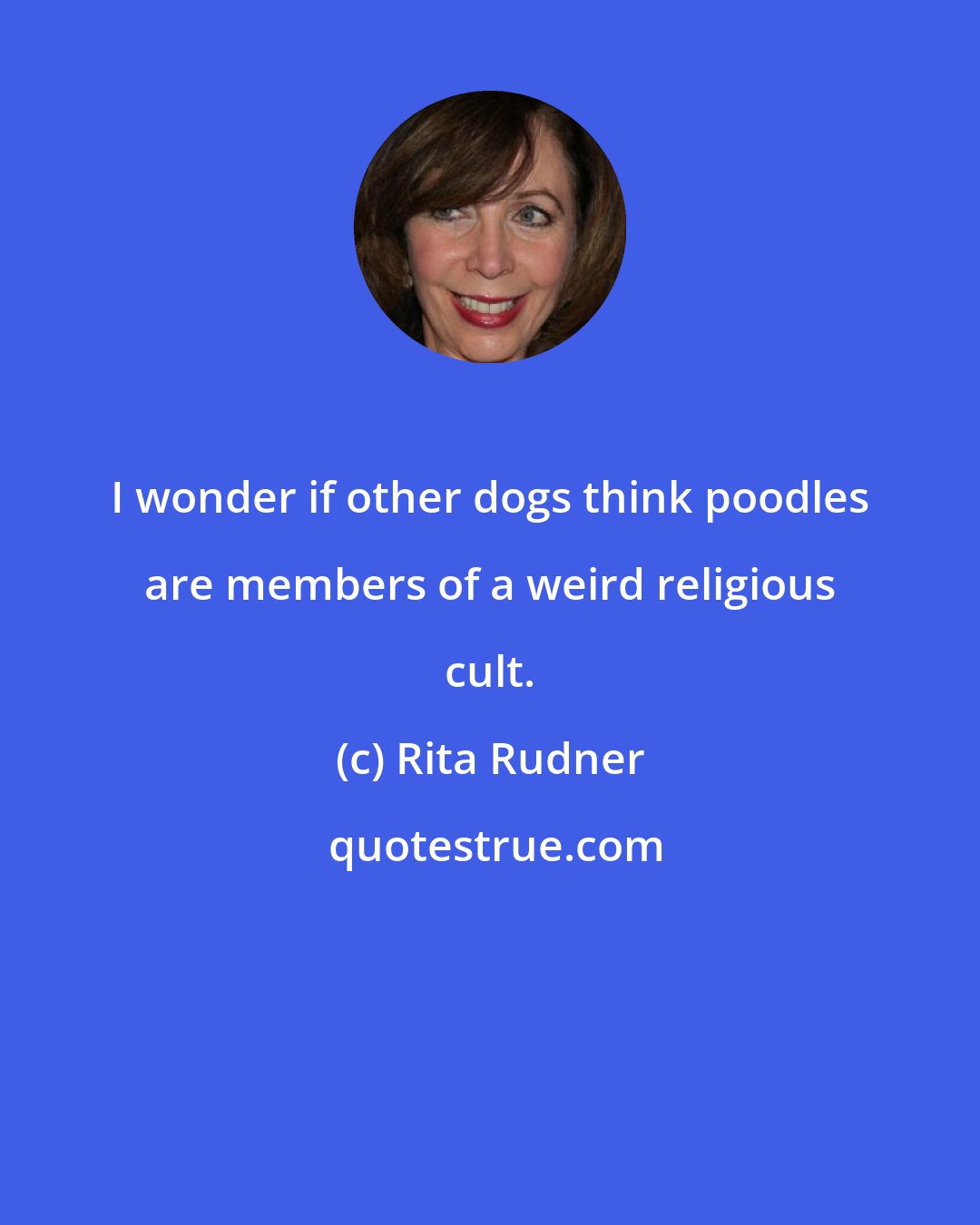 Rita Rudner: I wonder if other dogs think poodles are members of a weird religious cult.