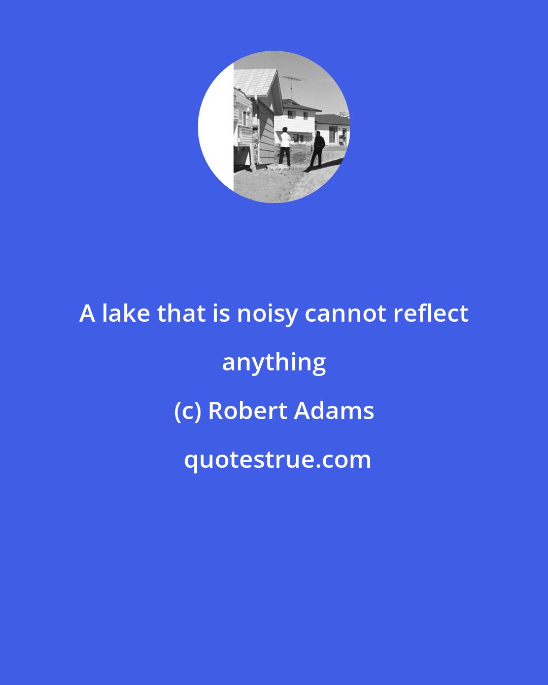 Robert Adams: A lake that is noisy cannot reflect anything