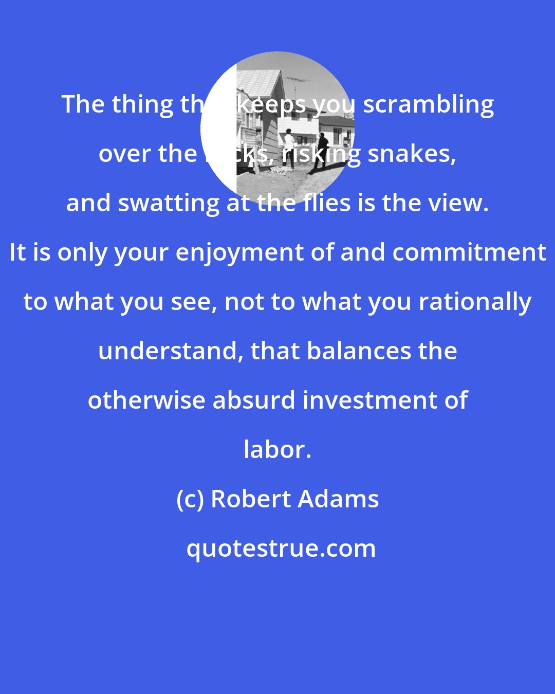 Robert Adams: The thing that keeps you scrambling over the rocks, risking snakes, and swatting at the flies is the view. It is only your enjoyment of and commitment to what you see, not to what you rationally understand, that balances the otherwise absurd investment of labor.