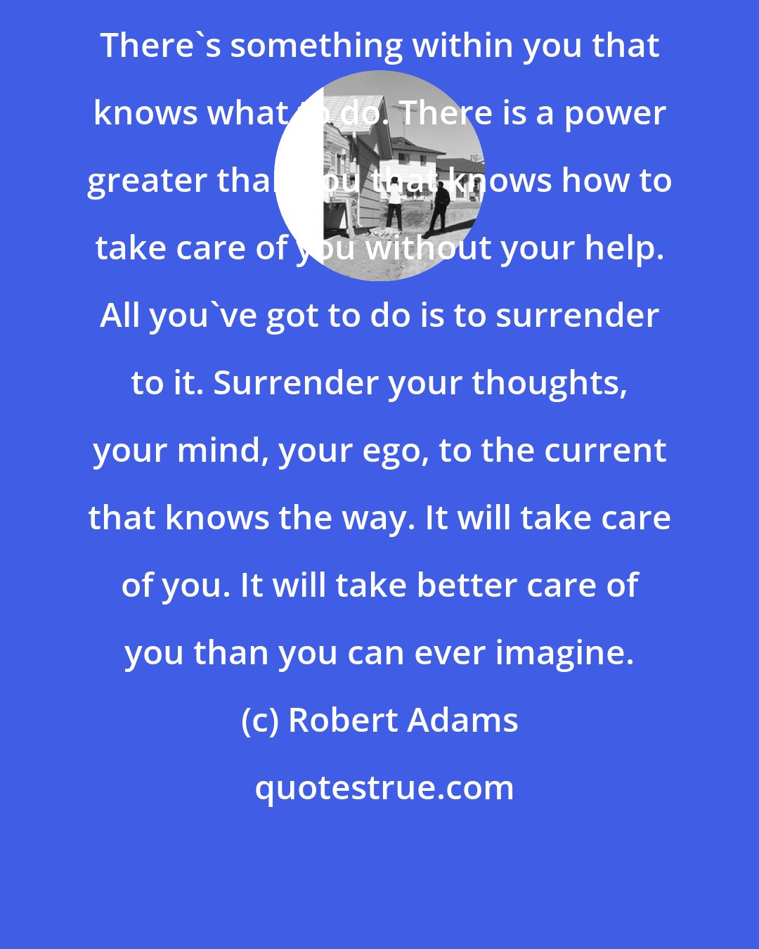 Robert Adams: There's something within you that knows what to do. There is a power greater than you that knows how to take care of you without your help. All you've got to do is to surrender to it. Surrender your thoughts, your mind, your ego, to the current that knows the way. It will take care of you. It will take better care of you than you can ever imagine.