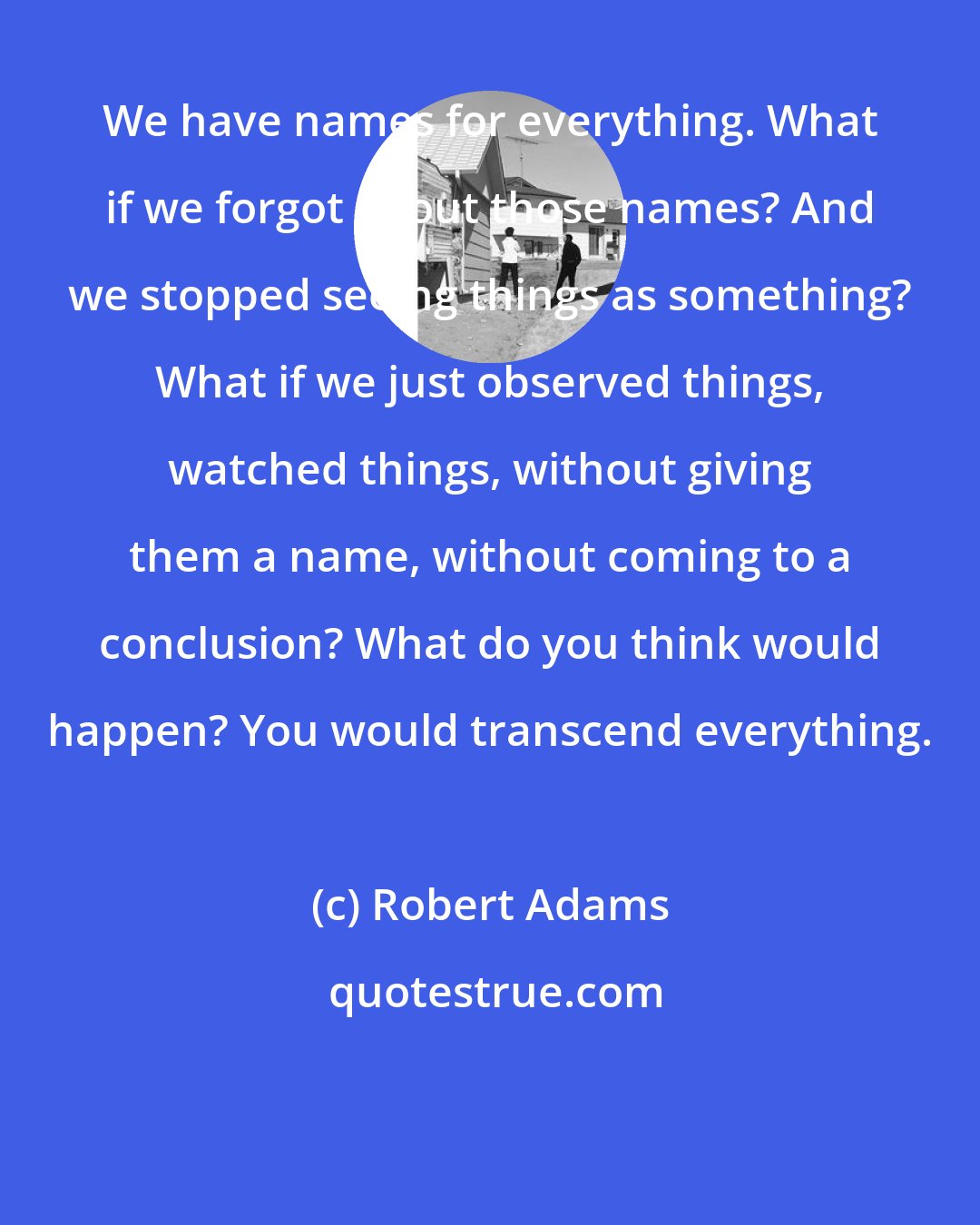 Robert Adams: We have names for everything. What if we forgot about those names? And we stopped seeing things as something? What if we just observed things, watched things, without giving them a name, without coming to a conclusion? What do you think would happen? You would transcend everything.