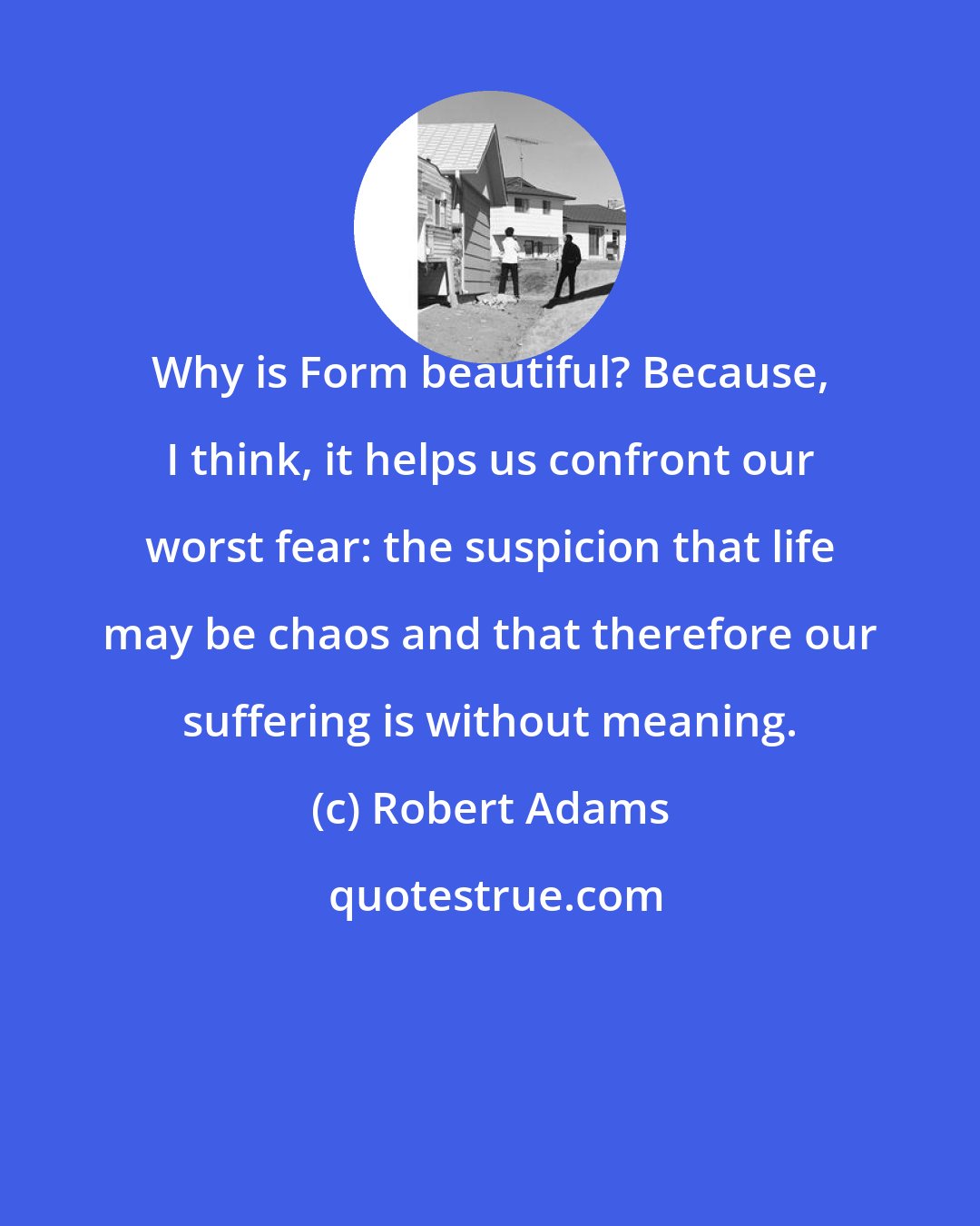 Robert Adams: Why is Form beautiful? Because, I think, it helps us confront our worst fear: the suspicion that life may be chaos and that therefore our suffering is without meaning.