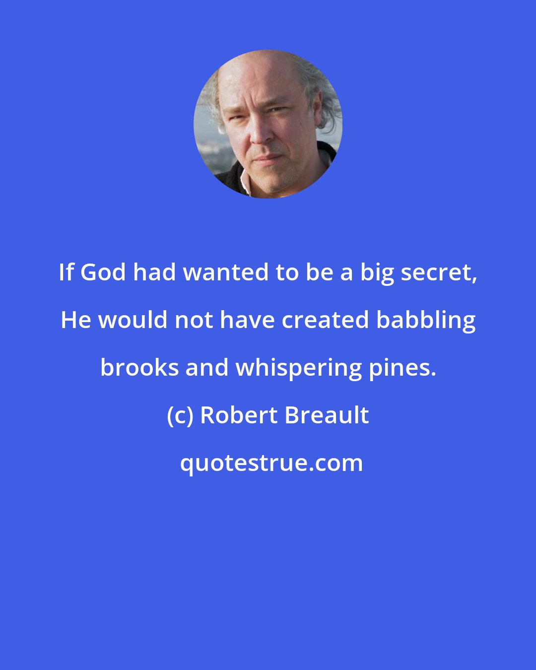 Robert Breault: If God had wanted to be a big secret, He would not have created babbling brooks and whispering pines.